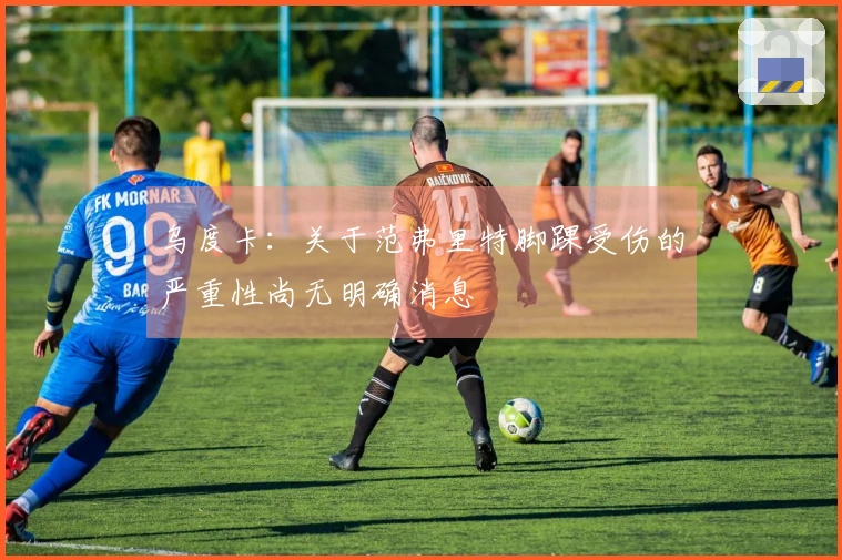 乌度卡：关于范弗里特脚踝受伤的严重性尚无明确消息