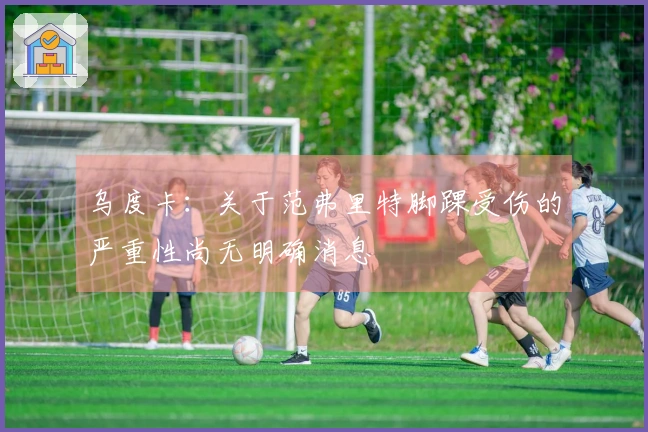 乌度卡：关于范弗里特脚踝受伤的严重性尚无明确消息